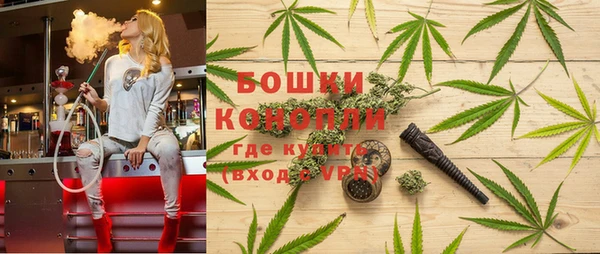 винт Армянск