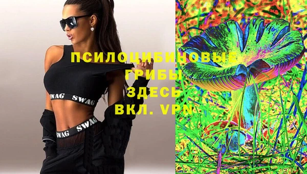 винт Армянск