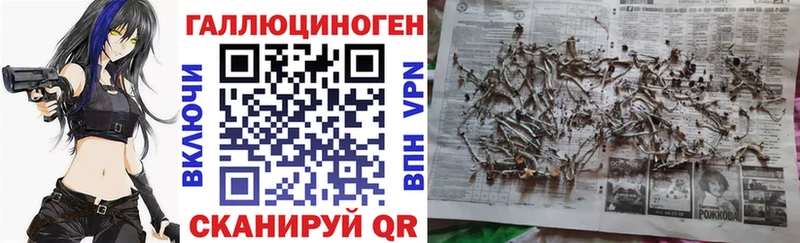 Галлюциногенные грибы GOLDEN TEACHER  Купить где  Невель 
